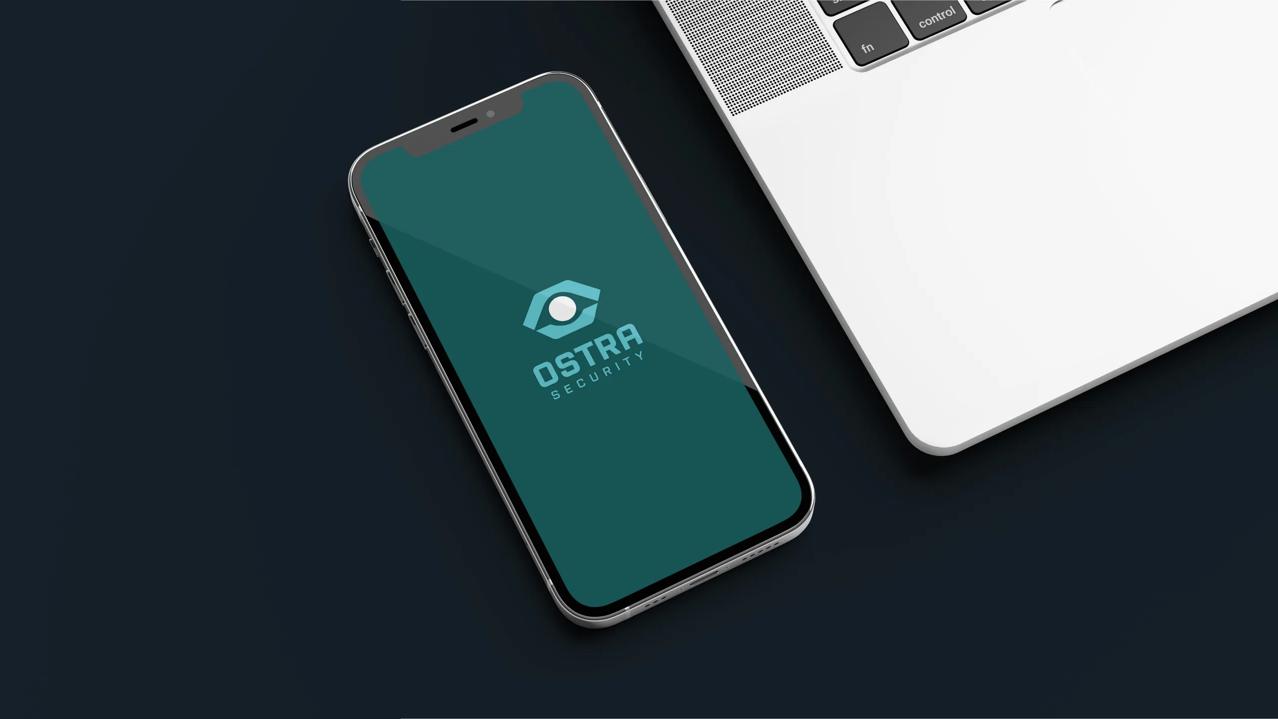 Ostra Cybersecurity brand identity 4
